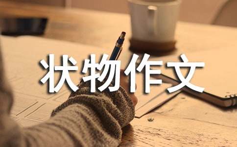 吊兰状物作文(15篇)