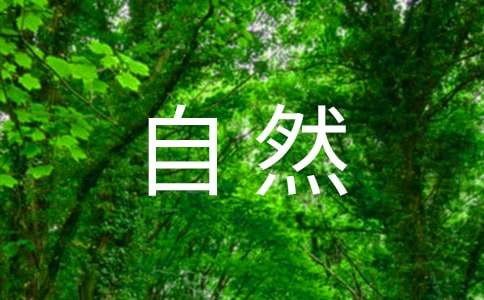 美丽的大自然小学生优秀作文300字