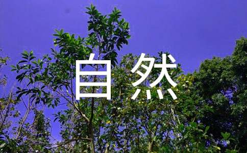 让真情自然流露500字范文七篇