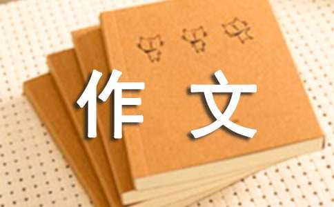 暑假的作文300字