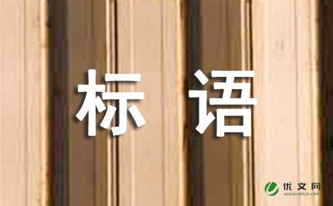 6.6全国爱眼日主题活动标语精选