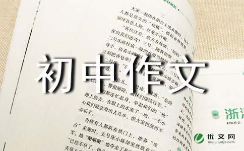 【精选】优秀初中作文300字汇总8篇