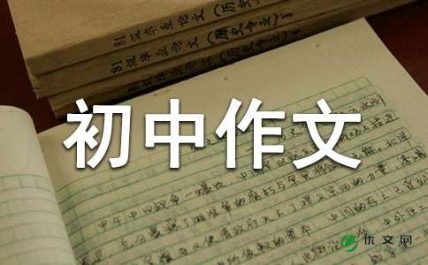 【精华】初中作文300字3篇