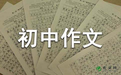 【精品】初中作文300字集合7篇