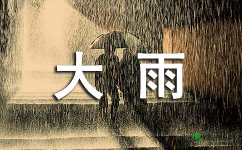 一场大雨作文250字