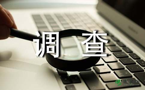 小家电行业调查报告