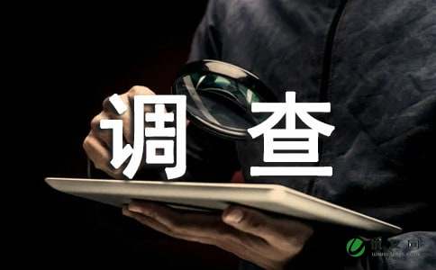 金融专业社会调查报告