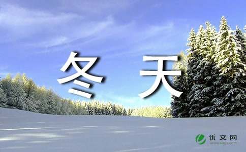 观察冬天的雪日记