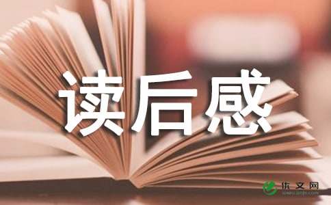 无声告白读后感800字以上