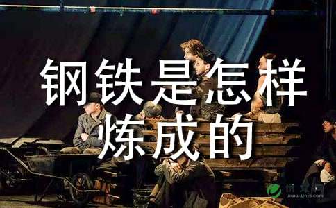 钢铁是怎样炼成的读后感500多字3篇