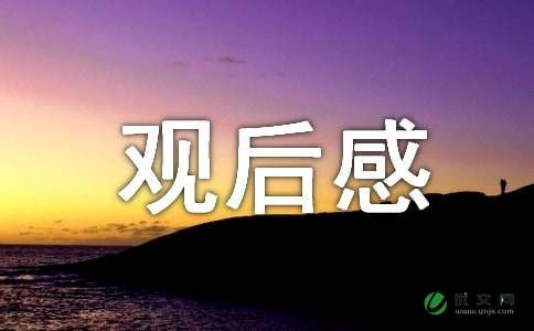 《夏洛特的网》观后感