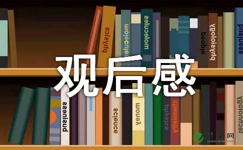 横空出世观后感300字