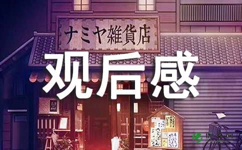 创新之路观后感