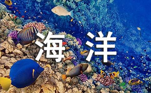 沉浮于碎片化的海洋作文1000字