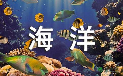 海洋环境心得体会