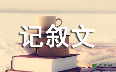 一件新鲜事 - 小学记叙文500字