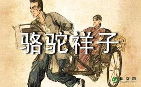 骆驼祥子读后感600字4篇