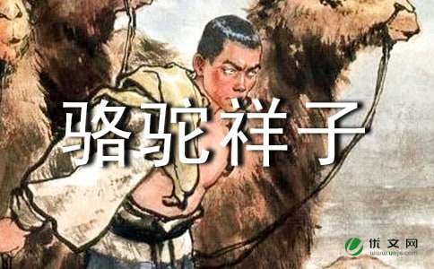 《骆驼祥子》读书笔记