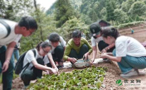 大学生暑假三下乡社会实践活动心得体会