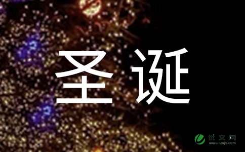 花点小钱玩转圣诞全攻略 -资料