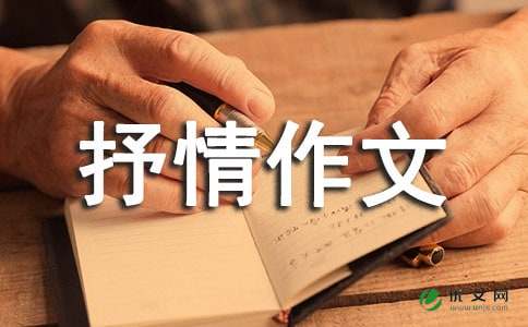 别担心，我可以的 - 抒情作文900字