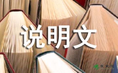 一次有趣的实验说明文作文400字