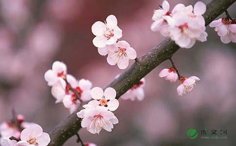 连日至梅僊坞及花泾观桃花抵暮乃归,连日至梅僊坞及花泾观桃花抵暮乃归陆游,连日至梅僊坞及花泾观桃花抵暮乃归的意思,连日至梅僊坞及花泾观桃花抵暮乃归赏析 -诗词大全