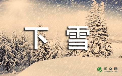 下雪的日记（精选7篇）