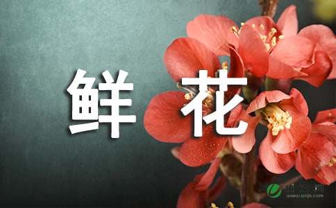 一束鲜花750字