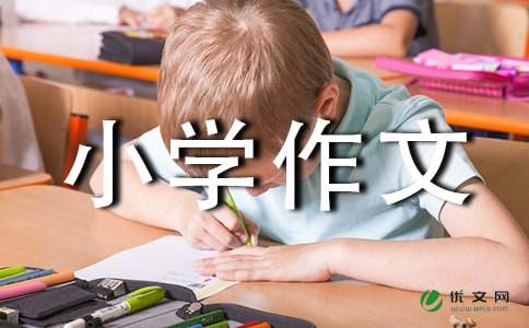 小学作文300字五篇