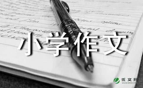 人间自有真情在300字_四年级作文_小学作文