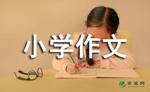 【实用】小学作文300字6篇