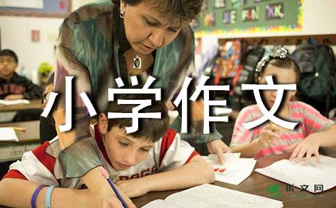 【必备】小学作文300字6篇