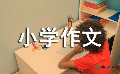 【精选】我的小学作文300字4篇