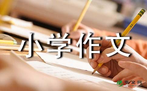 【推荐】小学作文合集8篇