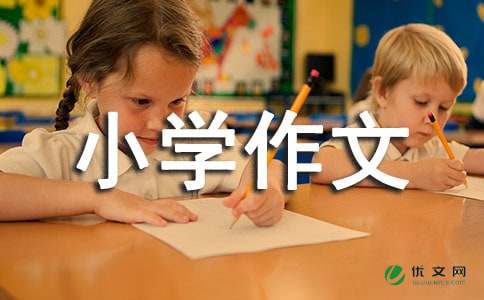 功夫不负有心人_小学作文