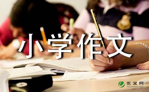 【精选】难忘的小学作文4篇