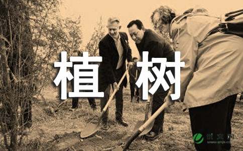 全民义务植树活动通知