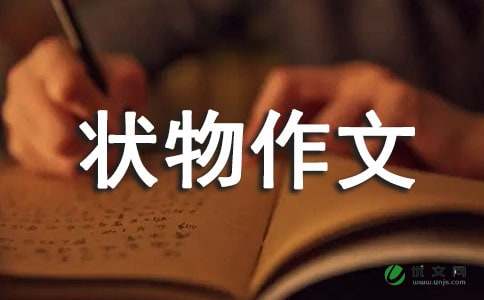 我的房间_小学状物作文350字