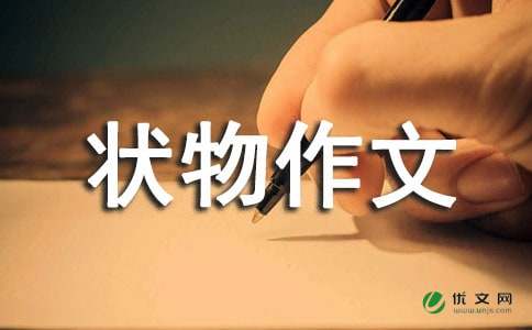 五年级状物作文：储蓄罐