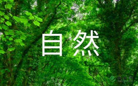 自然现象作文500字