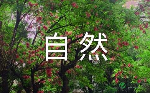 小学四年级自然景观作文400字